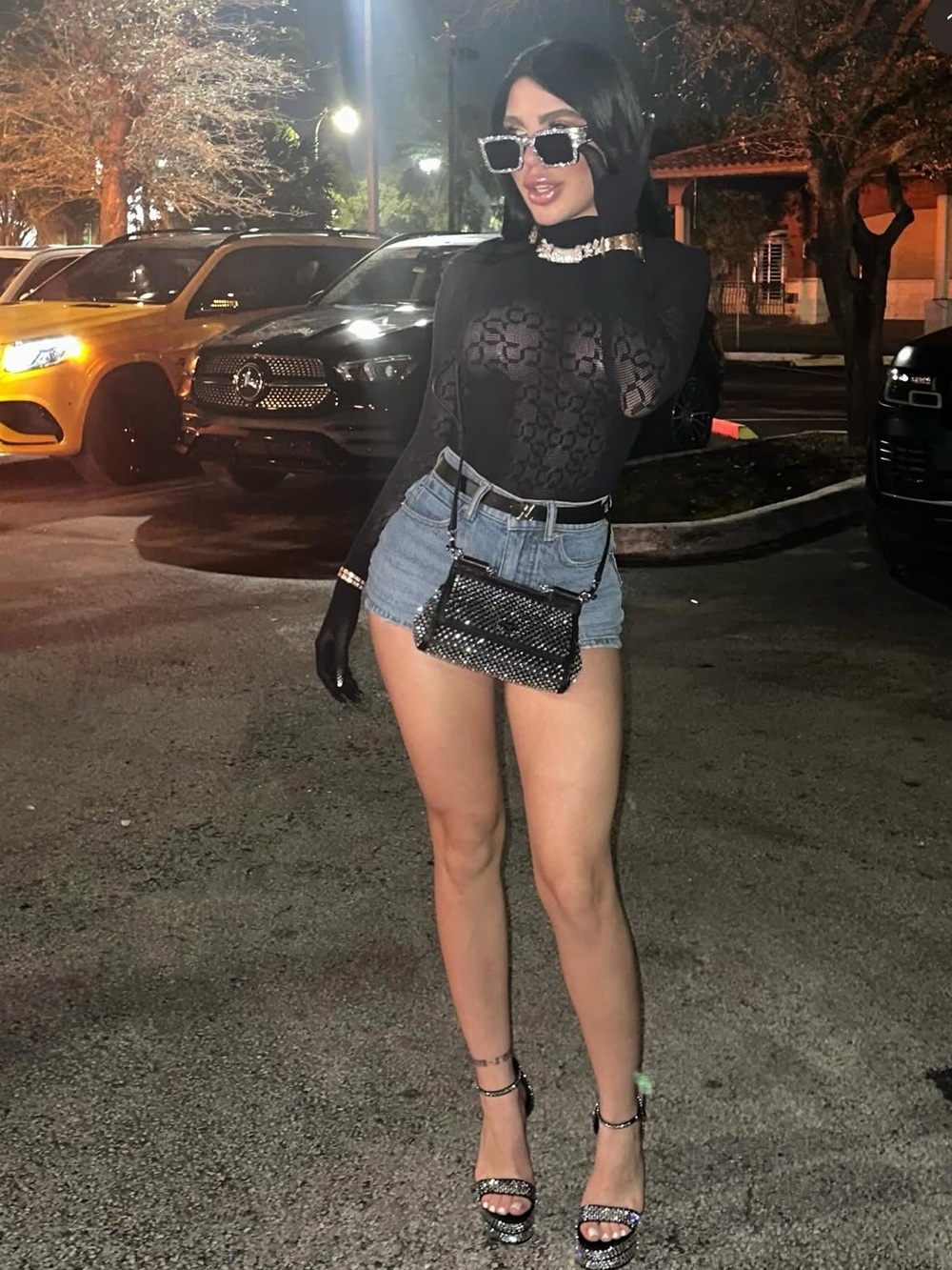 Wolford Black Sheer Lace Long Sleeve Dress